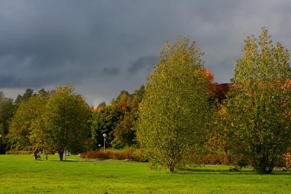 Reunindo tempestade sobre parque na Finlândia — Fotografia de Stock