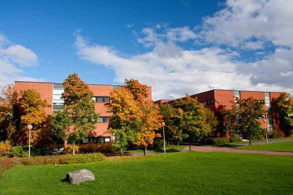 Parque en campus universitario en Jyvaskyla, Finlandia —  Fotos de Stock