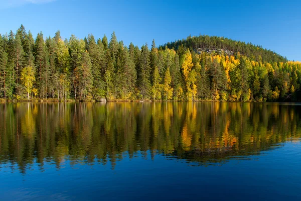 Mooie fotografie — Stockfoto