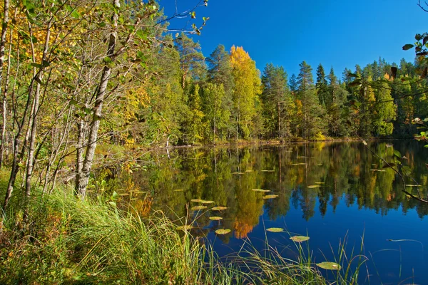 Lake in Finland — Stockfoto