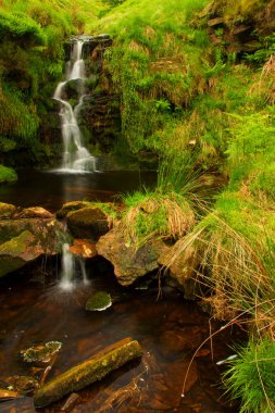 Akışında küçük şelale