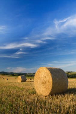 Bale alanında kadeh Wideangle