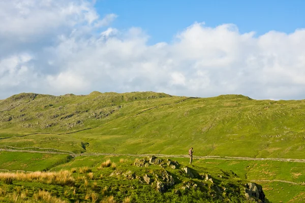 Alone in Hills — Stock Photo, Image