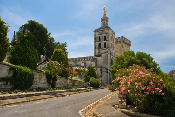 Popepalace Avignon yakınındaki Park — Stok fotoğraf