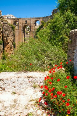 yeni bir köprü içinde ronda