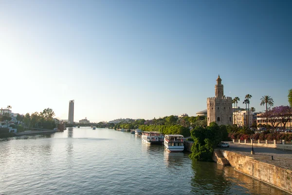 Sevilla: Dell Torre Oro