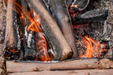 Yerde yakacak odunları olan ateş. Kırmızı alevler. Güzel kıvılcımlar saçan siyah arka plan..