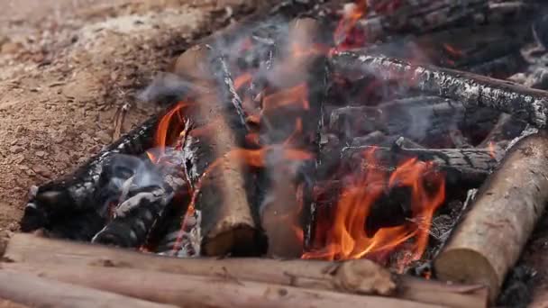 Yerde Yanan Odunlar Güzel Közler Dumanlar — Stok video