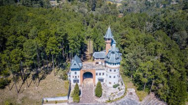 Ortaçağ şatosu manzarası olan güzel bir doğanın ortasında..