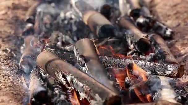 用漂亮的炉火和浓烟焚烧着的木头 — 图库视频影像