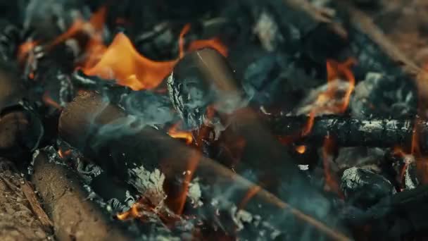 Ξύλο Καίγεται Στο Έδαφος Όμορφα Κάρβουνα Και Καπνό — Αρχείο Βίντεο
