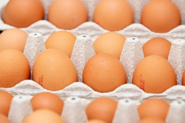 Masada kahverengi ve organik tavuk yumurtası tepsisi.