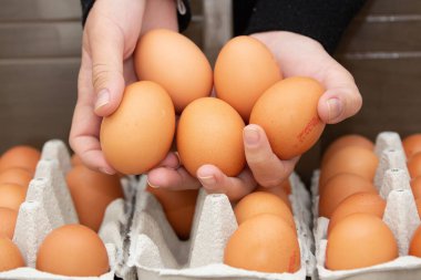 Masada kahverengi ve organik tavuk yumurtası tepsisi.