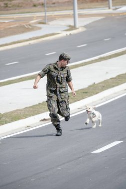 Golden retriever köpeğiyle oynayan bir asker. .