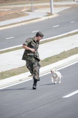 Golden retriever köpeğiyle oynayan bir asker. .