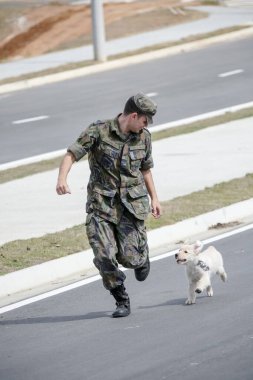 Golden retriever köpeğiyle oynayan bir asker. .