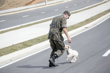 Golden retriever köpeğiyle oynayan bir asker. .