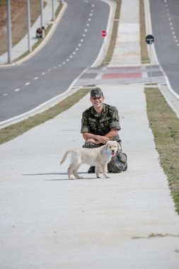 Golden retriever köpeğiyle oynayan bir asker. .