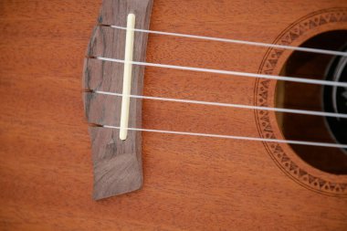 Siyah kapaklı küçük kahverengi ukulele gitar..