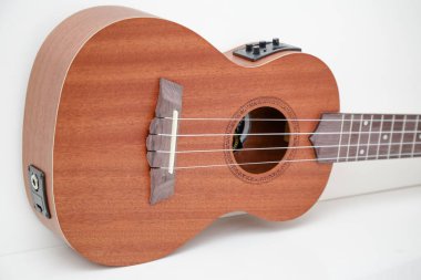 Siyah kapaklı küçük kahverengi ukulele gitar..