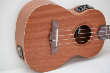 Siyah kapaklı küçük kahverengi ukulele gitar..