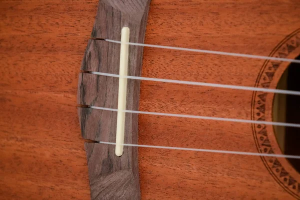 Mały Brązowy Drewniany Ukulele Gitara Czarnej Okładce — Zdjęcie stockowe