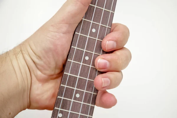 Siyah kapaklı küçük kahverengi ukulele gitar..