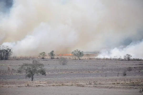 Μια Μεγάλη Φωτιά Καταστρέφει Βλάστηση Στην Περιοχή Ενός Αγροκτήματος — Φωτογραφία Αρχείου