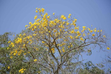 Düşük su seviyesindeki barajın manzarası.