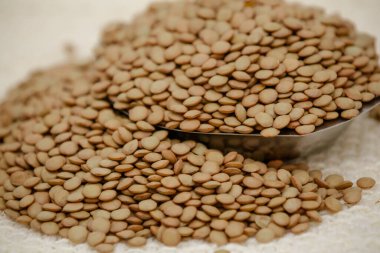  Baklagiller ailesinin küçük yıllık tırmanma tesisi..