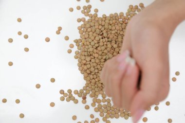  Baklagiller ailesinin küçük yıllık tırmanma tesisi..