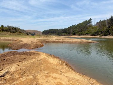 Sığ bir gölün kenarındaki kıvrık dallarla kuraklık senaryosu, su kıtlığını ve iklim değişikliğinin doğa üzerindeki etkilerini simgeliyor..