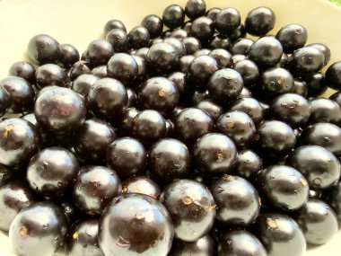 Taze ve parlak Jabuticabas, ayaktan toplanmış, Brezilya 'nın tüm zenginliğini ve otantik lezzetini sergiler. Renk, tazelik ve doğa dolu tropikal meyveler..