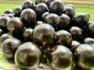 Taze ve parlak Jabuticabas, ayaktan toplanmış, Brezilya 'nın tüm zenginliğini ve otantik lezzetini sergiler. Renk, tazelik ve doğa dolu tropikal meyveler..