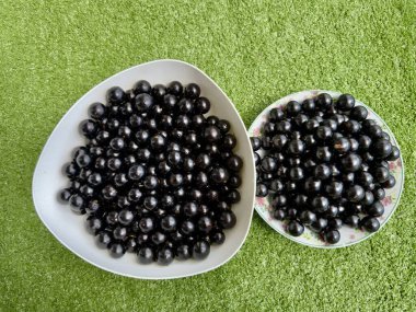 Taze ve parlak Jabuticabas, ayaktan toplanmış, Brezilya 'nın tüm zenginliğini ve otantik lezzetini sergiler. Renk, tazelik ve doğa dolu tropikal meyveler..