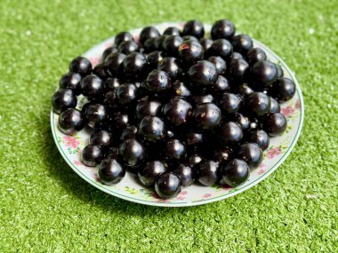 Taze ve parlak Jabuticabas, ayaktan toplanmış, Brezilya 'nın tüm zenginliğini ve otantik lezzetini sergiler. Renk, tazelik ve doğa dolu tropikal meyveler..