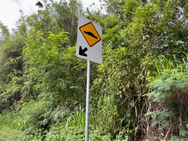 Sarı oklu trafik levhası ve vahşi doğanın bulanık arka planına sahip bir direkte sabit hız kameraları..