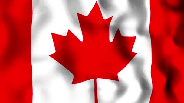 シームレスなカナダの旗ループ背景テクスチャ — ストック動画