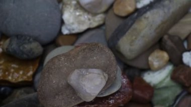 Deniz taşları ve istiridye kabukları