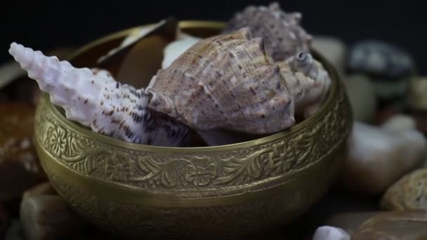 Sea Stones And Oyster Shells Around Gold Old Bowl Rotating — Stock Video