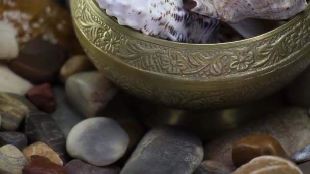 Pedras do mar e conchas de ostra em torno de ouro velho tigela rotativa — Vídeo de Stock