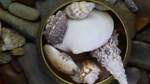 Sea Stones And Oyster Shells Around Gold Old Bowl Rotating — Stock Video