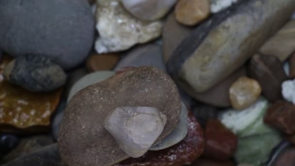 Pierres de mer et coquilles d'huîtres — Video