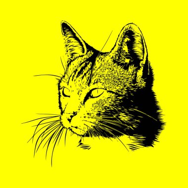 Sarı arkaplanda oyma tarzıyla kedi kafasının vektör gölgelendirmesi