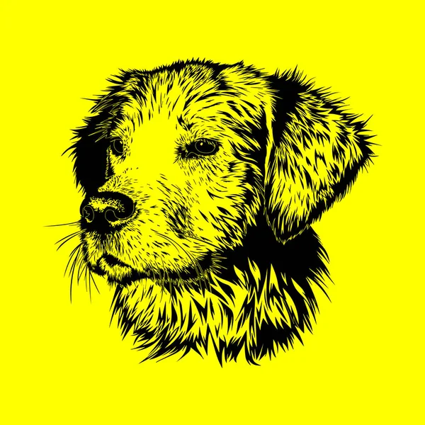 Cão Cabeça Vetor Sombreamento Com Estilo Gravação Fundo Amarelo — Vetor de Stock