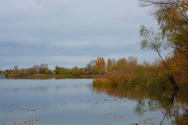 Dnipro nehrinin güzel kıyısı. Sarı, yeşil, kırmızı ağaçlar, çalılar. Ukrayna 'nın Kamianske şehrinin güzel sonbahar doğası..