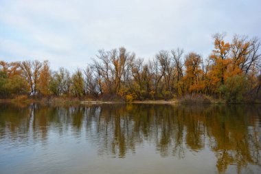 Dnipro nehrinin güzel kıyısı. Sarı, yeşil, kırmızı ağaçlar, çalılar. Ukrayna 'nın Kamianske şehrinin güzel sonbahar doğası..