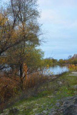 Dnipro nehrinin güzel kıyısı. Sarı, yeşil, kırmızı ağaçlar, çalılar. Ukrayna 'nın Kamianske şehrinin güzel sonbahar doğası..