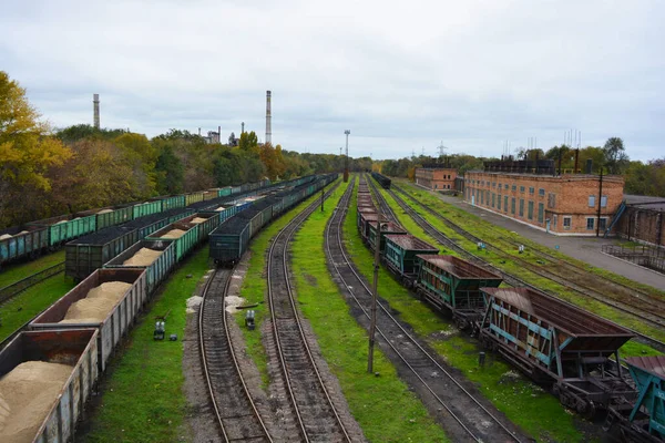 Grote Metalen Wagons Spoorweg Loopt Met Kleine Groene Gras Gelegen — Stockfoto