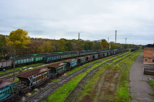 Stora Metallvagnar Järnväg Körs Med Små Gröna Gräs Ligger Lastning — Stockfoto